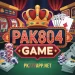 pak804 game