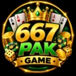 667pak game